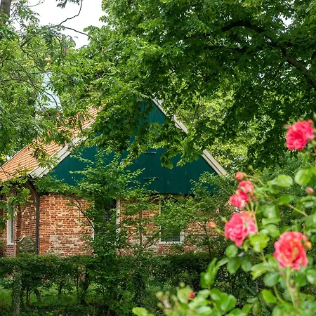 Apartamento Appartementhaus Westerloog 17 Spiekeroog